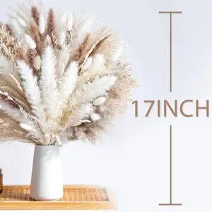 Anthropologie Dried Pampas Grass - Thumbnail 2